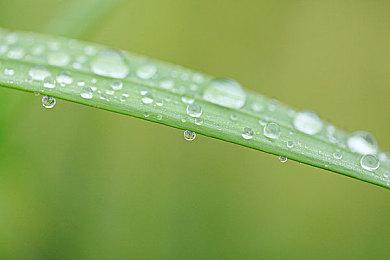 《冰宫彼岸2》发售日确定！诅咒之王重返王座！